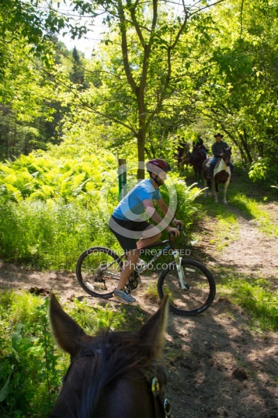 Bicycles on the Trail