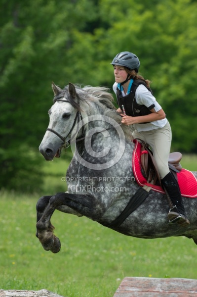 Connemara Hackney Cross Cornerstone Short Course Low Eventing Cross Country Level Eventing Cross Country