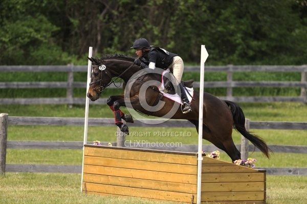 Grandview Horse Trials  Low Eventing Cross Country Level Eventing Cross Country