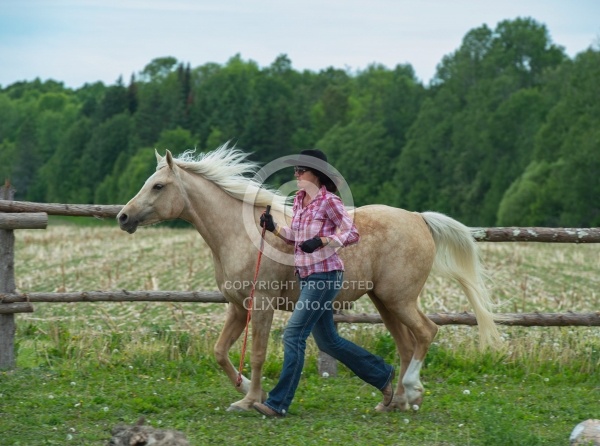 Natural Horsemanship through Obstacles