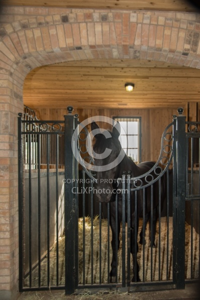 Stall with Horse