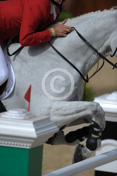 Alltech WEG Show Jumping Leg Protection Jumpers