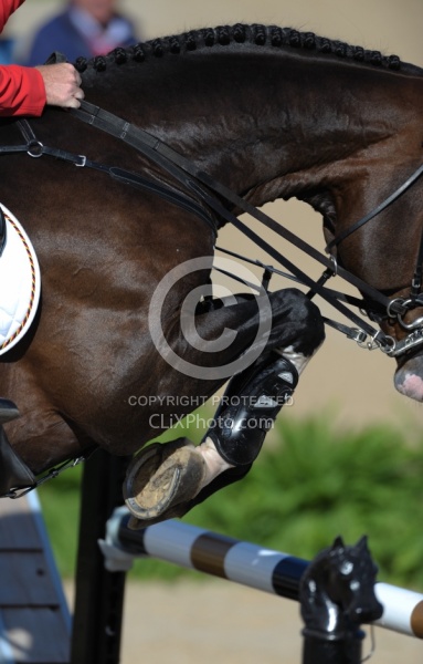 Alltech WEG Show Jumping Leg Protection Jumpers