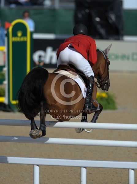 Alltech WEG Show Jumping Leg Protection Jumpers