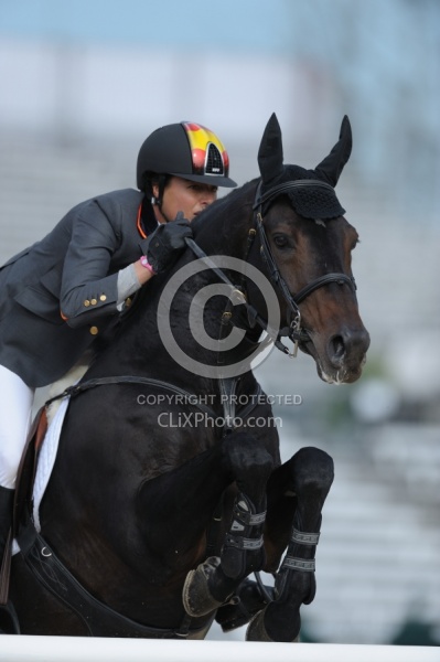 Alltech WEG Show Jumping Leg Protection Jumpers