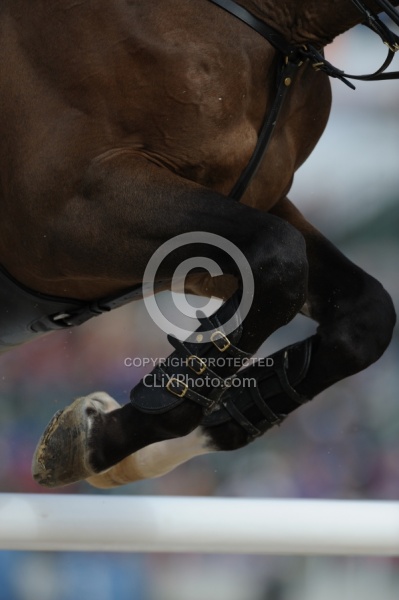 Alltech WEG Show Jumping Leg Protection Jumpers