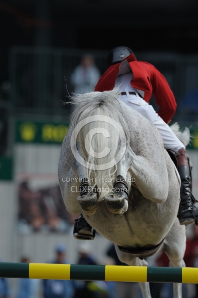 Alltech WEG Show Jumping Leg Protection Jumpers