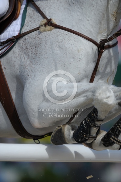 Alltech WEG Show Jumping Leg Protection Jumpers