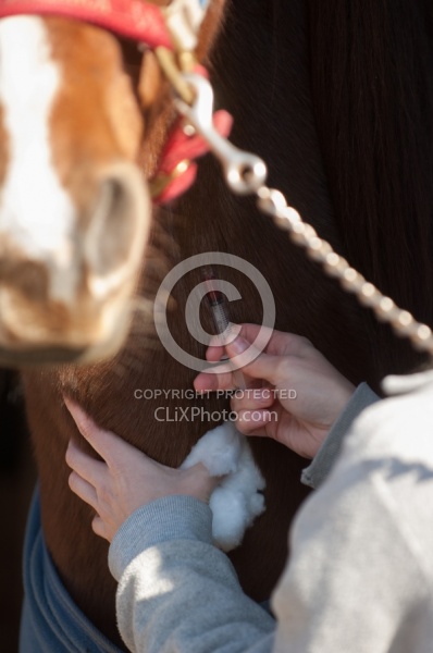 Removal of Stick From Eye
