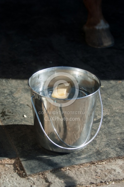 Removal of Stick From Eye