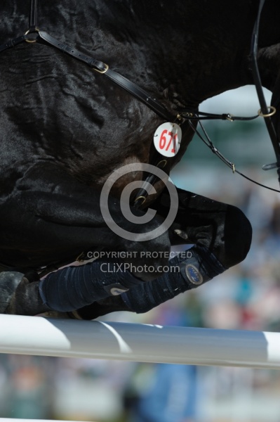 Alltech WEG Show Jumping Leg Protection Jumpers