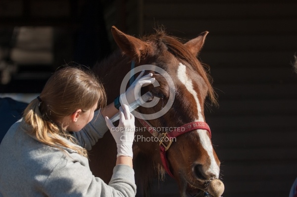 Removal of Stick From Eye