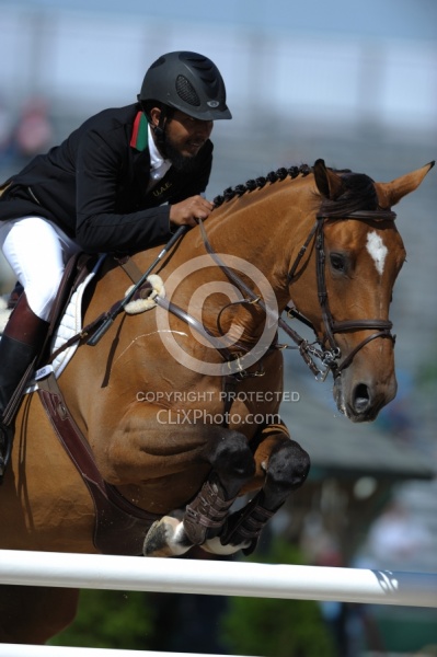 Alltech WEG Show Jumping Leg Protection Jumpers