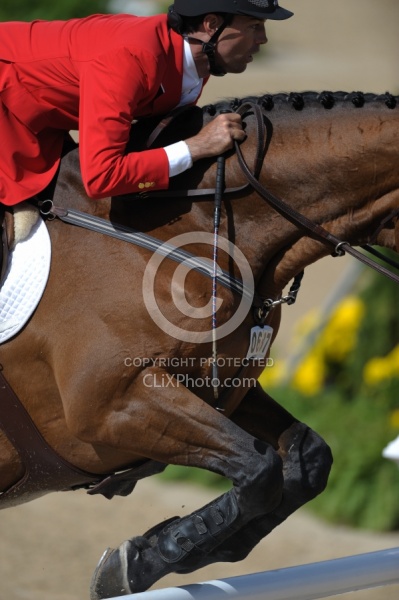 Alltech WEG Show Jumping Leg Protection Jumpers