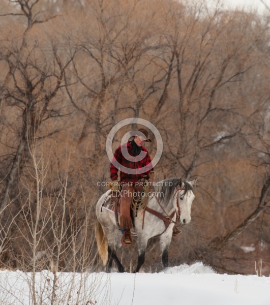 Winter Riding Western Vertical