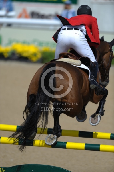 Alltech WEG Show Jumping Leg Protection Jumpers