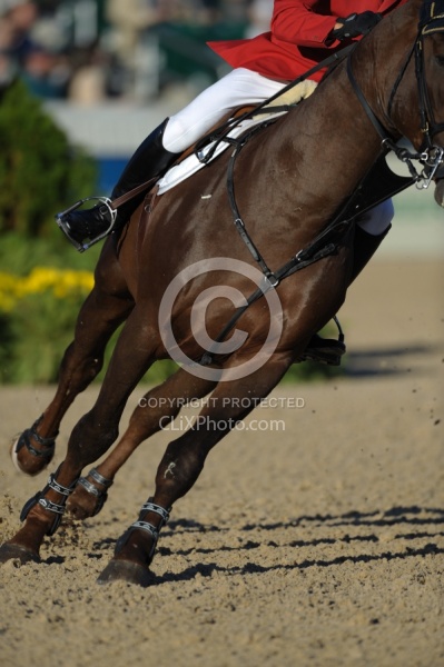 Alltech WEG Show Jumping Leg Protection Jumpers