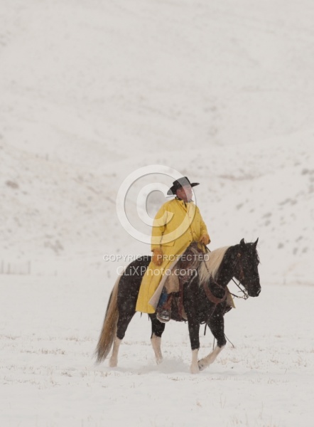 Winter Riding Western Vertical