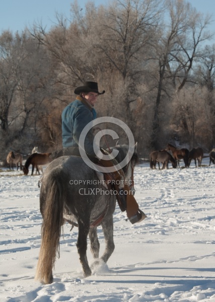 Winter Riding Western Vertical