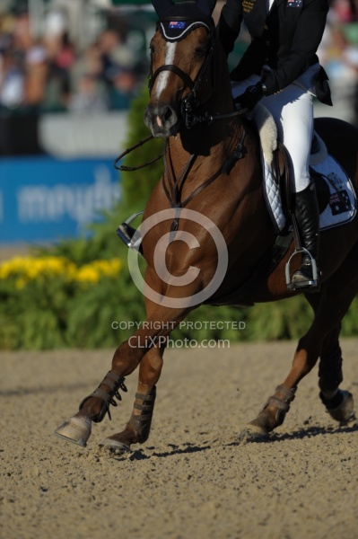 Alltech WEG Show Jumping Legs and Joints in Action