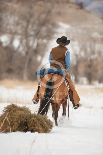 Winter Western Christmas Winter Christmas Holiday Theme
