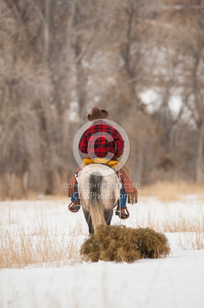 Winter Western Holiday Theme