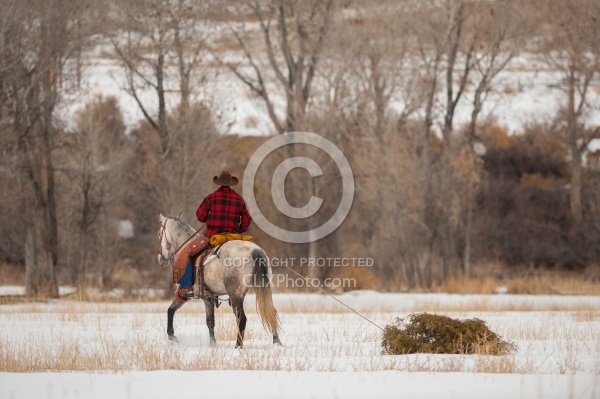 Winter Western Holiday Theme Mustang