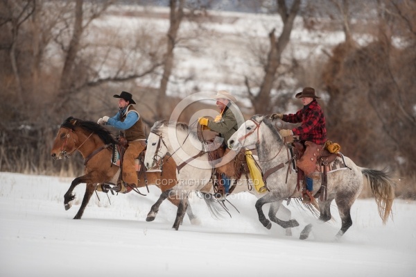 Winter Riding Western Horizontal