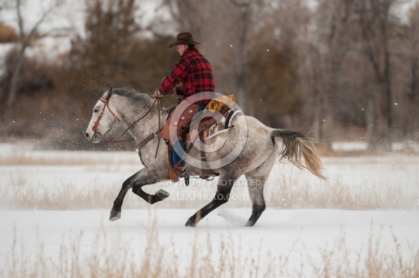 Winter Riding Western Horizontal