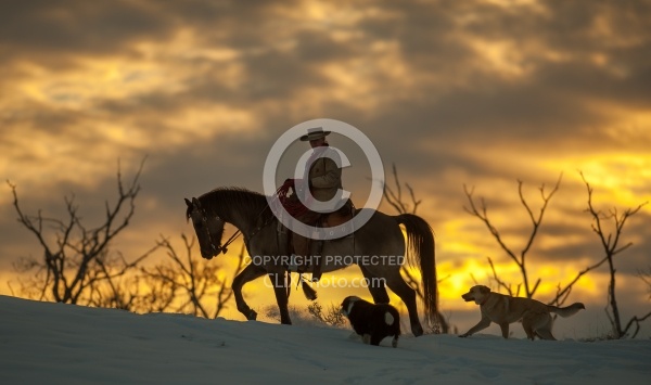 Winter Western Silhouette