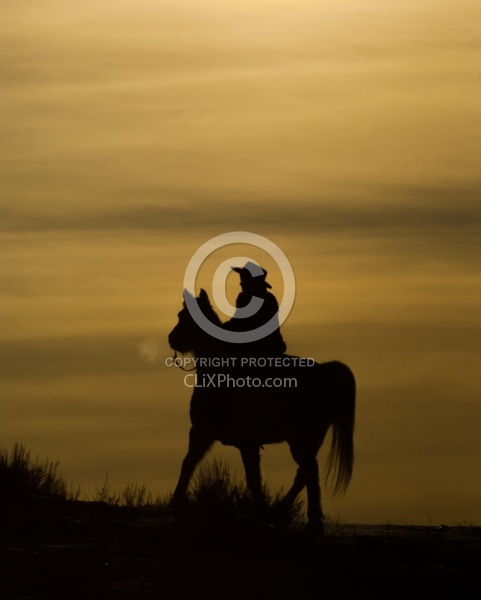 Winter Western Silhouette