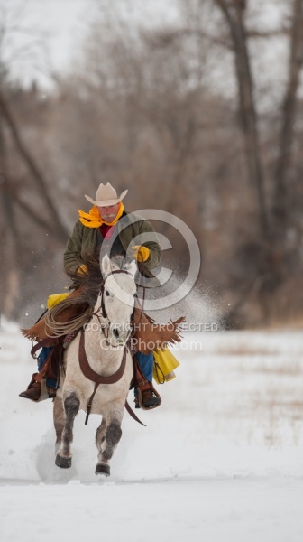 Qarter Horse Ridden in Winter