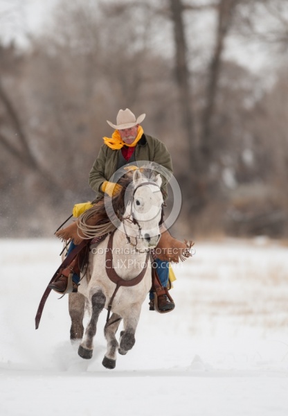 Qarter Horse Ridden in Winter