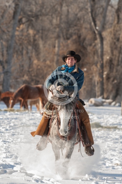 Qarter Horse Ridden in Winter