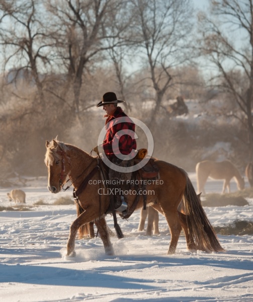 Western Riding Winter Vertical
