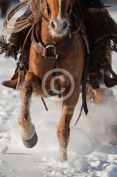 Western Riding Winter Vertical