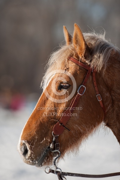Hideout Ranch Winter Workshop