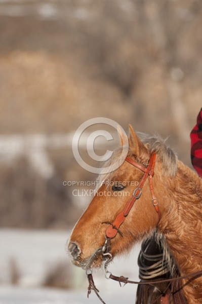 Hideout Ranch Winter Workshop