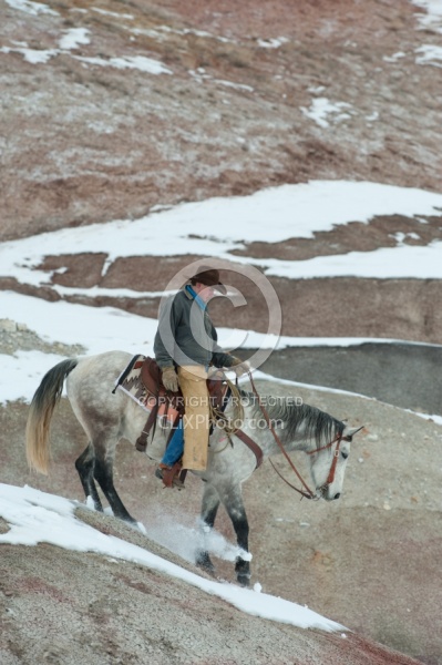 Qarter Horse Ridden in Winter