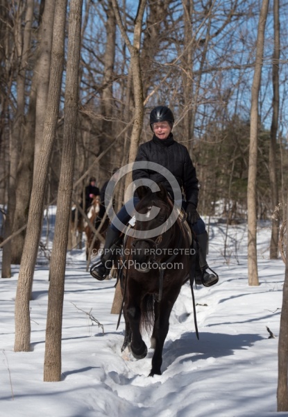 Winter Trail Riding Vertical