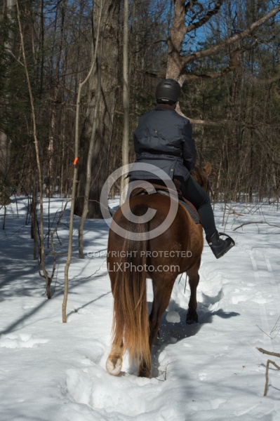 Winter Trail Riding Vertical