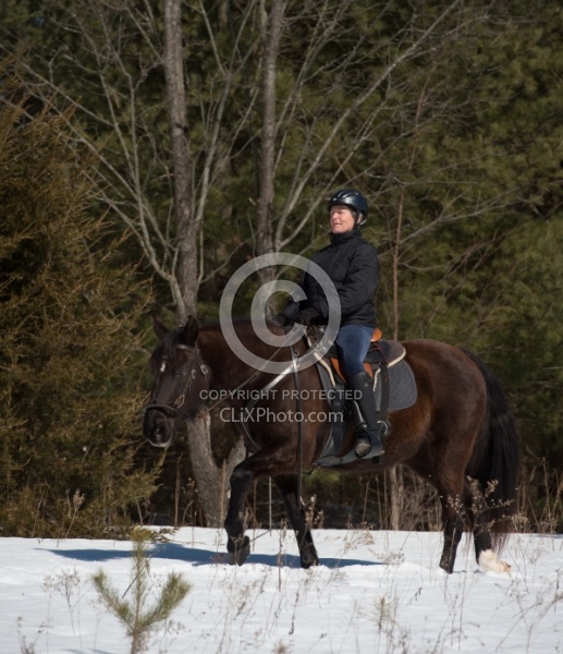Winter Trail Riding Vertical