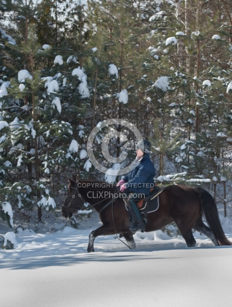 Winter Trail Riding