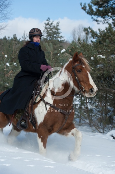 Winter Trail Riding