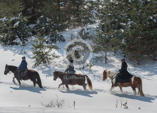 Winter Trail Riding in Group