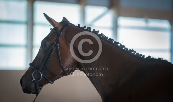 WindfieldLegacySky Oldenburg Inspection