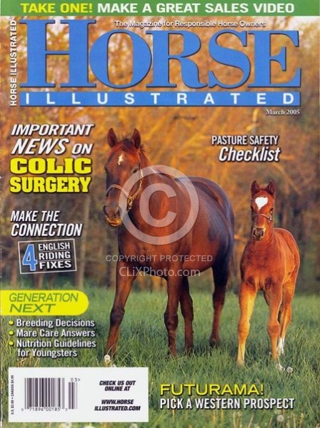 2005 March Horse Illustrated