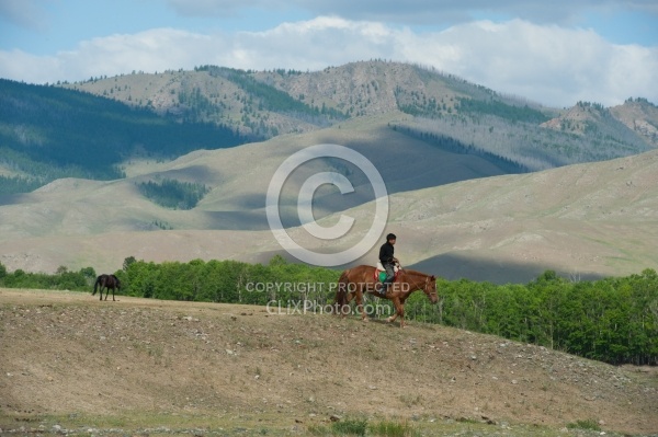 Mongolian Rider