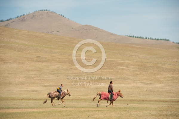 Jockey training for Nadaam