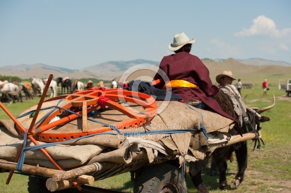 Saara on the Wagon with the Ger